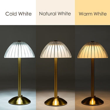 Rechargeable Table Lamp With LED Light - Casatrail.com